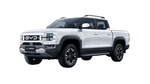 PPF - BYD Shark 6